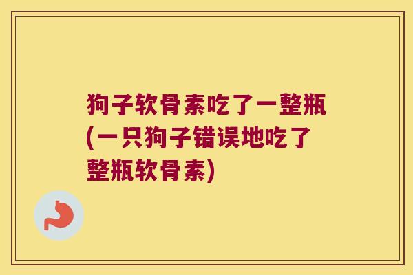 狗子软骨素吃了一整瓶(一只狗子错误地吃了整瓶软骨素)