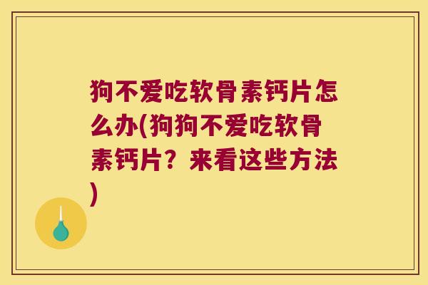 狗不爱吃软骨素钙片怎么办(狗狗不爱吃软骨素钙片?来看这些方法)
