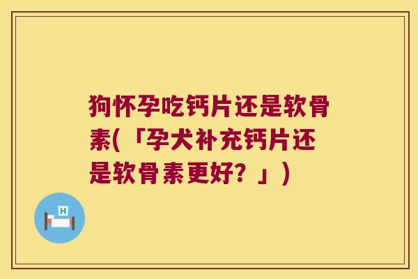 狗怀孕吃钙片还是软骨素(「孕犬补充钙片还是软骨素更好?」)