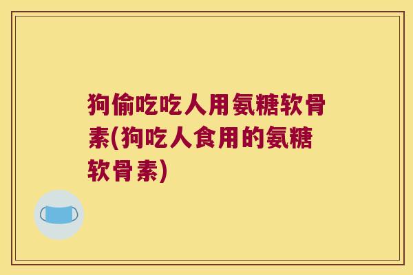 狗偷吃吃人用氨糖软骨素(狗吃人食用的氨糖软骨素)