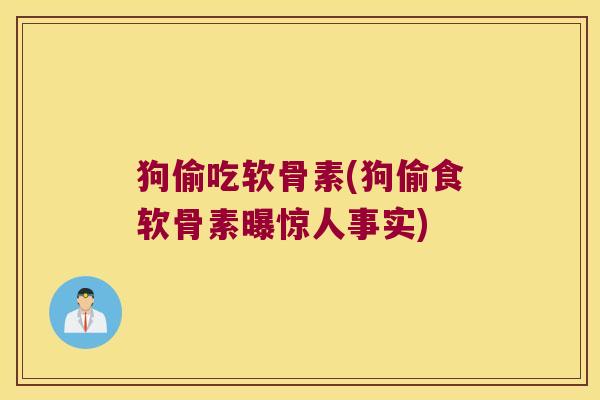 狗偷吃软骨素(狗偷食软骨素曝惊人事实)