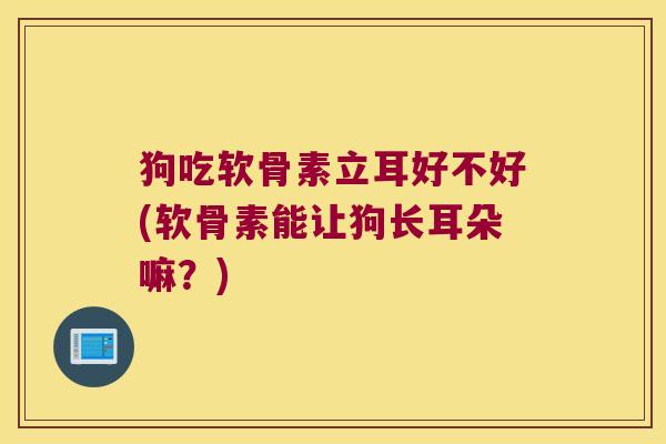狗吃软骨素立耳好不好(软骨素能让狗长耳朵嘛?)