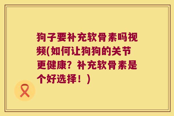 狗子要补充软骨素吗视频(如何让狗狗的关节更健康?补充软骨素是个好选择!)