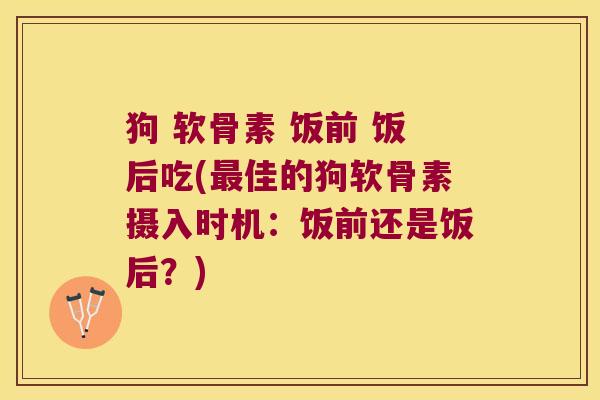 狗 软骨素 饭前 饭后吃(最佳的狗软骨素摄入时机:饭前还是饭后?)