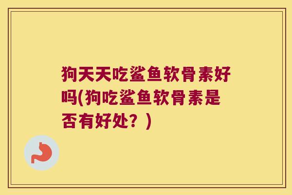 狗天天吃鲨鱼软骨素好吗(狗吃鲨鱼软骨素是否有好处?)
