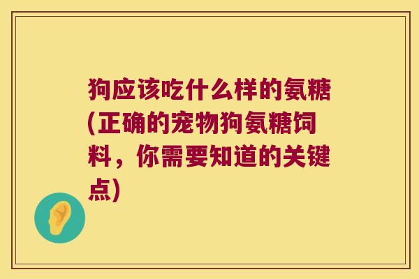狗应该吃什么样的氨糖(正确的宠物狗氨糖饲料,你需要知道的关键点)