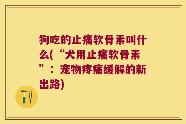 狗吃的软骨素叫什么(“犬用软骨素”:宠物缓解的新出路) 狗吃的软骨素叫什么(“犬用软骨素”:宠物缓解的新出路)