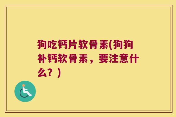 狗吃钙片软骨素(狗狗补钙软骨素,要注意什么?)