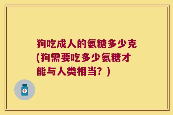 狗吃成人的氨糖多少克(狗需要吃多少氨糖才能与人类相当?)