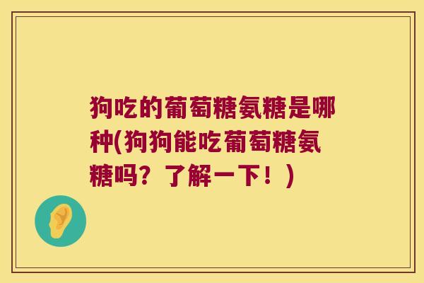 狗吃的葡萄糖氨糖是哪种(狗狗能吃葡萄糖氨糖吗?了解一下!)