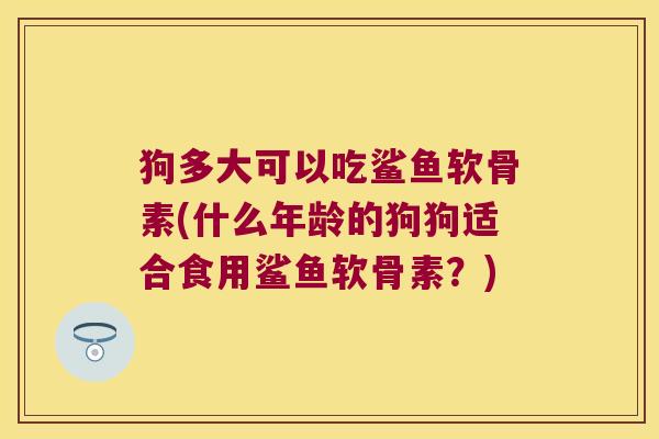 狗多大可以吃鲨鱼软骨素(什么年龄的狗狗适合食用鲨鱼软骨素？)