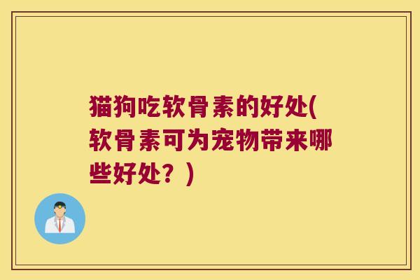 猫狗吃软骨素的好处(软骨素可为宠物带来哪些好处?)