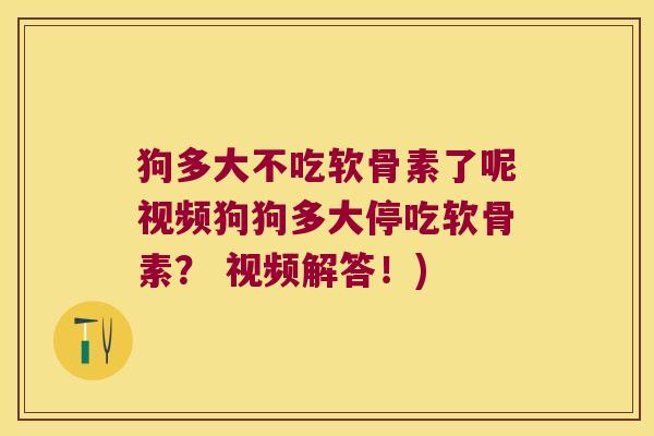 狗多大不吃软骨素了呢视频狗狗多大停吃软骨素? 视频解答!)