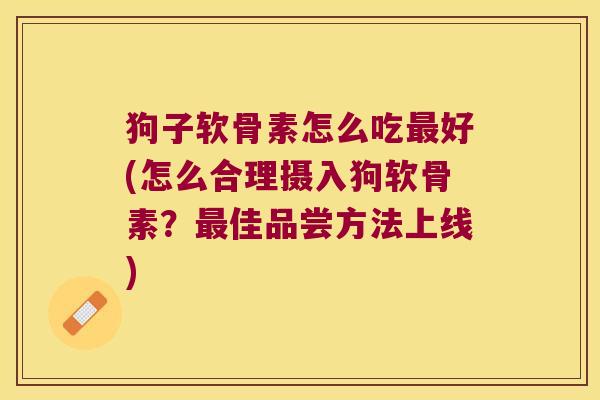 狗子软骨素怎么吃最好(怎么合理摄入狗软骨素?最佳品尝方法上线)