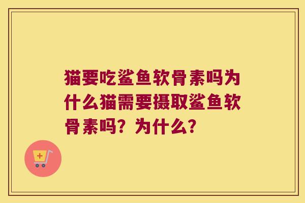 猫要吃鲨鱼软骨素吗为什么猫需要摄取鲨鱼软骨素吗?为什么?