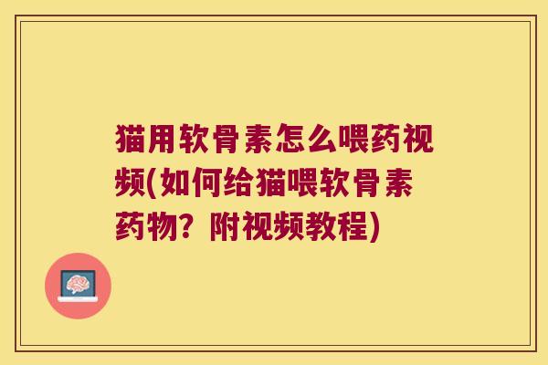 猫用软骨素怎么喂药视频(如何给猫喂软骨素药物?附视频教程)