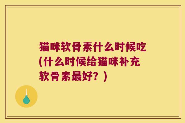 猫咪软骨素什么时候吃(什么时候给猫咪补充软骨素最好?)