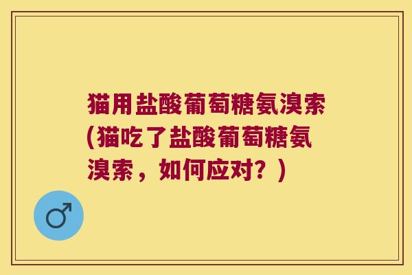 猫用盐酸葡萄糖氨溴索(猫吃了盐酸葡萄糖氨溴索,如何应对?)