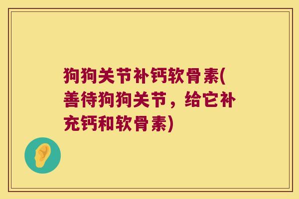 狗狗关节补钙软骨素(善待狗狗关节,给它补充钙和软骨素)