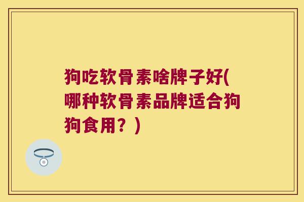 狗吃软骨素啥牌子好(哪种软骨素品牌适合狗狗食用?)