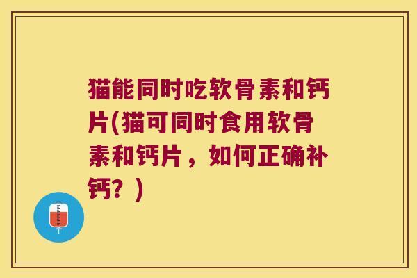 猫能同时吃软骨素和钙片(猫可同时食用软骨素和钙片,如何正确补钙?)