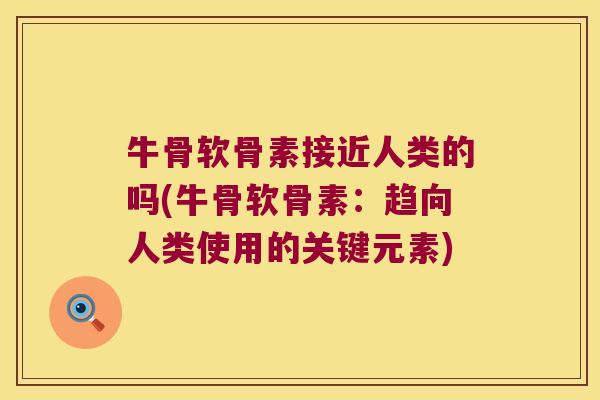 牛骨软骨素接近人类的吗(牛骨软骨素:趋向人类使用的关键元素)
