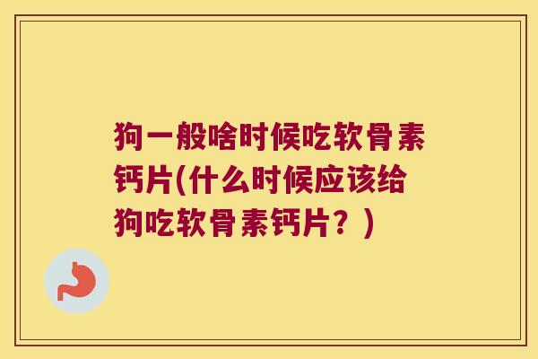 狗一般啥时候吃软骨素钙片(什么时候应该给狗吃软骨素钙片?)