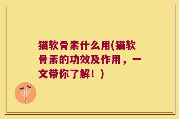 猫软骨素什么用(猫软骨素的功效及作用,一文带你了解!)