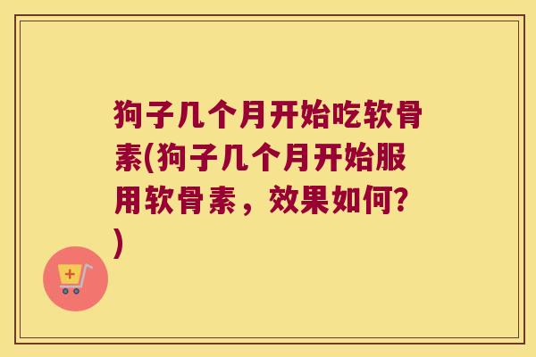 狗子几个月开始吃软骨素(狗子几个月开始服用软骨素,效果如何?)