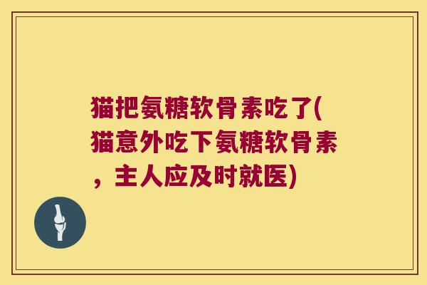 猫把氨糖软骨素吃了(猫意外吃下氨糖软骨素,主人应及时就医)