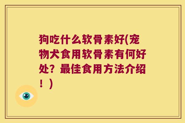 狗吃什么软骨素好(宠物犬食用软骨素有何好处?最佳食用方法介绍!)