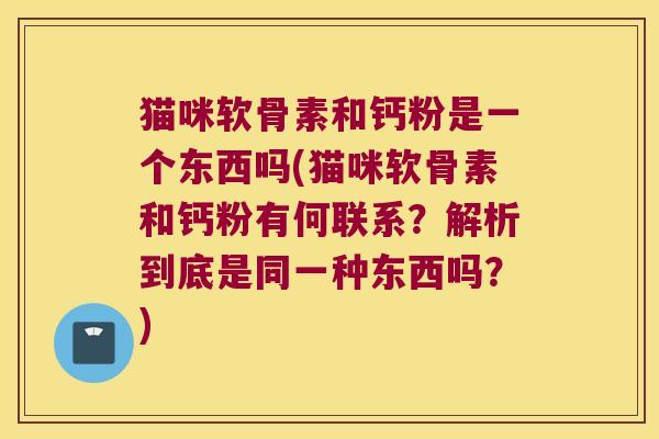 猫咪软骨素和钙粉是一个东西吗(猫咪软骨素和钙粉有何联系?解析到底是同一种东西吗?)