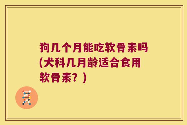 狗几个月能吃软骨素吗(犬科几月龄适合食用软骨素?)