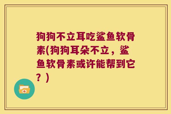 狗狗不立耳吃鲨鱼软骨素(狗狗耳朵不立，鲨鱼软骨素或许能帮到它？)
