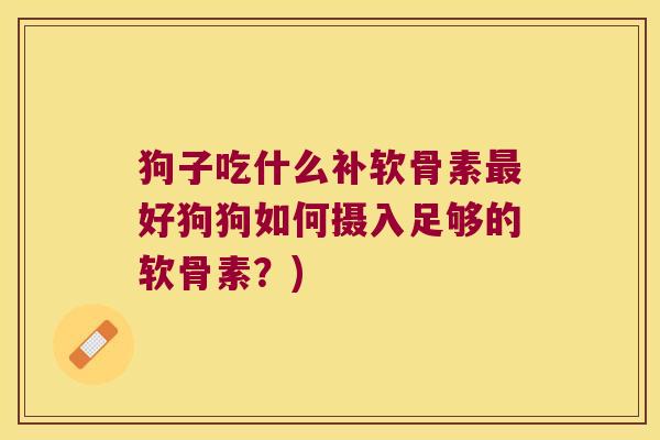 狗子吃什么补软骨素好狗狗如何摄入足够的软骨素?) 狗子吃什么补软骨素好狗狗如何摄入足够的软骨素?)