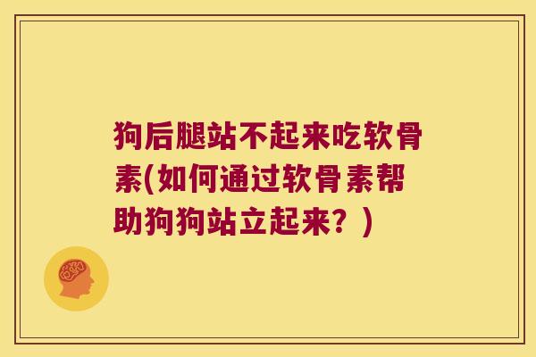 狗后腿站不起来吃软骨素(如何通过软骨素帮助狗狗站立起来?)