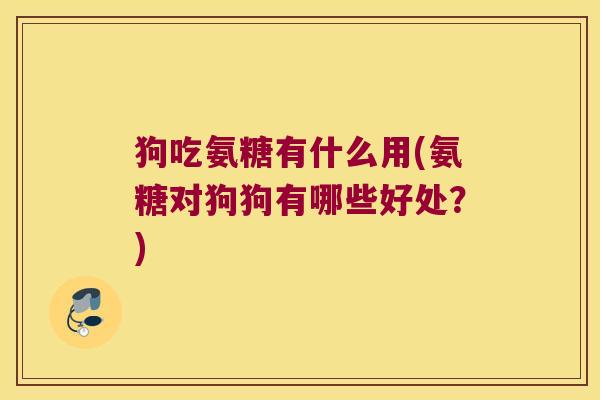 狗吃氨糖有什么用(氨糖对狗狗有哪些好处?)