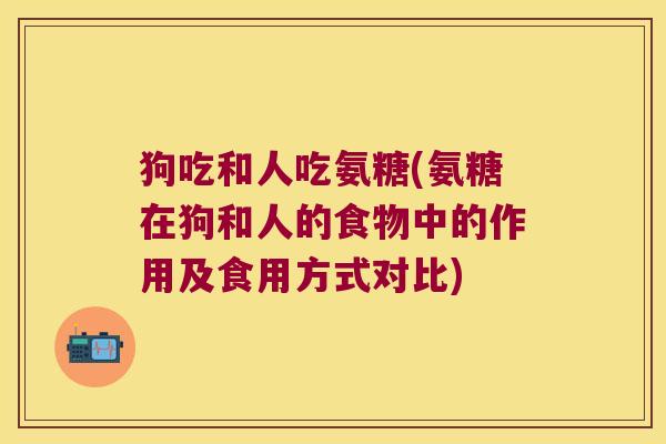 狗吃和人吃氨糖(氨糖在狗和人的食物中的作用及食用方式对比)