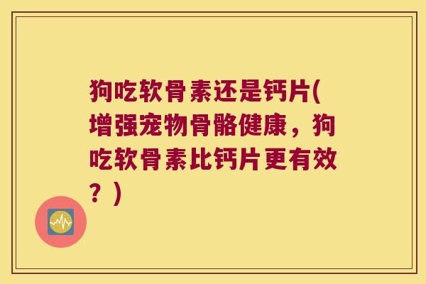 狗吃软骨素还是钙片(增强宠物骨骼健康,狗吃软骨素比钙片更有效?)