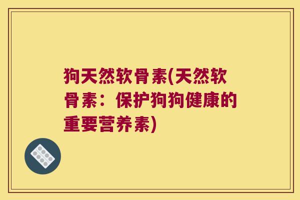 狗天然软骨素(天然软骨素:保护狗狗健康的重要营养素)