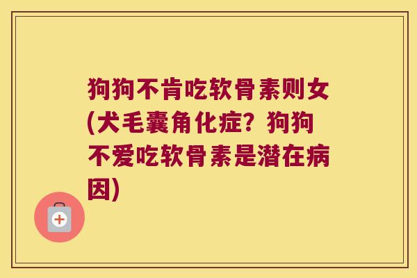 狗狗不肯吃软骨素则女(犬毛囊角化症?狗狗不爱吃软骨素是潜在病因)