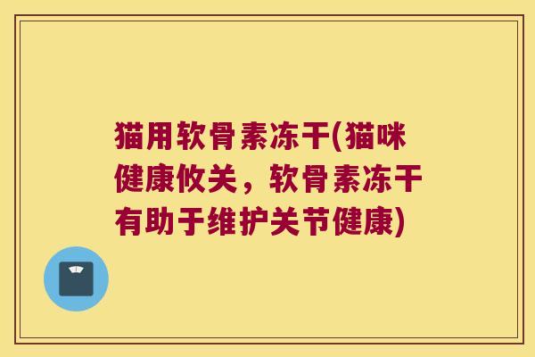 猫用软骨素冻干(猫咪健康攸关,软骨素冻干有助于维护关节健康)