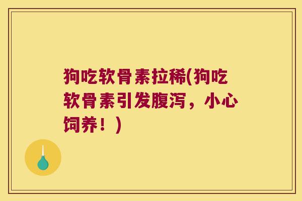 狗吃软骨素拉稀(狗吃软骨素引发腹泻,小心饲养!)