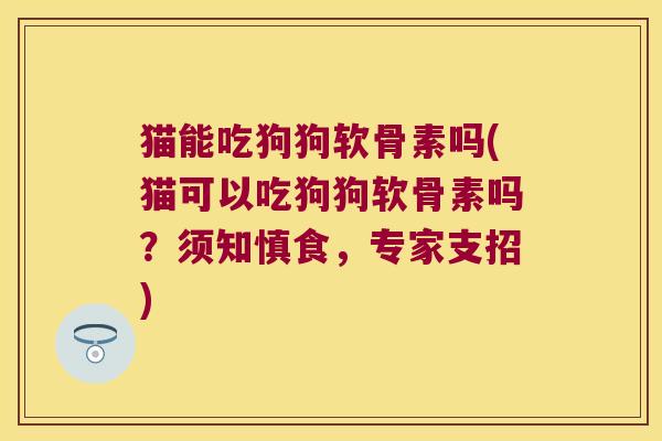 猫能吃狗狗软骨素吗(猫可以吃狗狗软骨素吗?须知慎食,专家支招) 猫能吃狗狗软骨素吗(猫可以吃狗狗软骨素吗?须知慎食,专家支招)