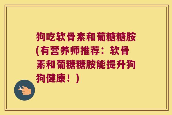 狗吃软骨素和葡糖糖胺(有营养师推荐:软骨素和葡糖糖胺能提升狗狗健康!)