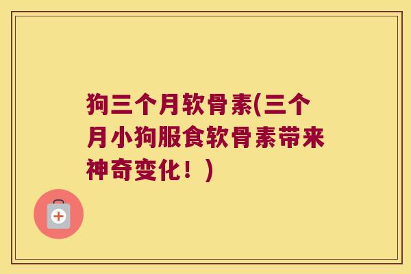 狗三个月软骨素(三个月小狗服食软骨素带来神奇变化!)