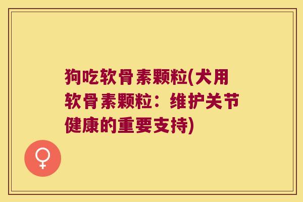 狗吃软骨素颗粒(犬用软骨素颗粒：维护关节健康的重要支持)