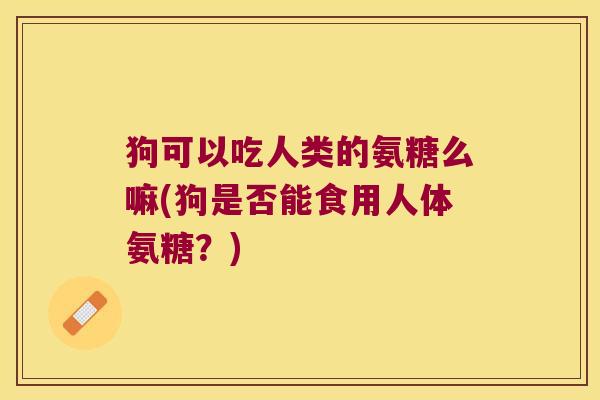 狗可以吃人类的氨糖么嘛(狗是否能食用人体氨糖?)