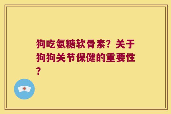 狗吃氨糖软骨素?关于狗狗关节保健的重要性?