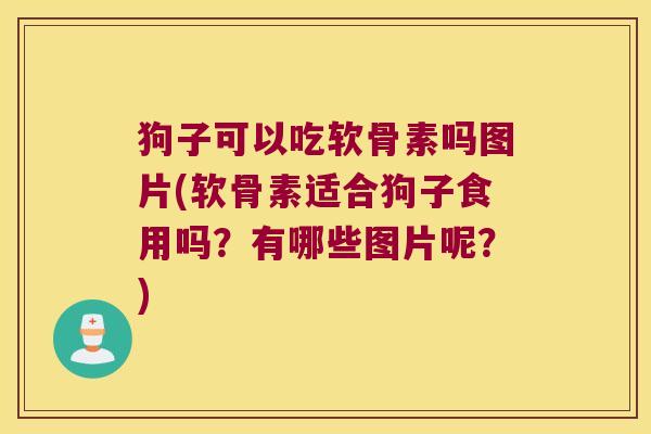 狗子可以吃软骨素吗图片(软骨素适合狗子食用吗?有哪些图片呢?)